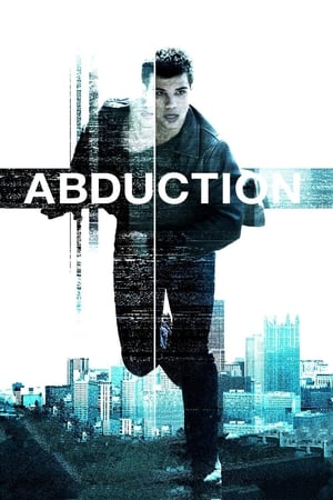 Abduction (2011) Hindi Dual Audio 340MB