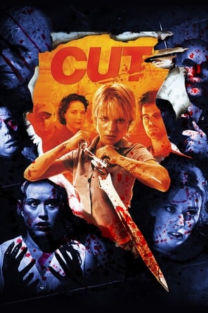 Cut (2000) Hindi Dual Audio [1.1GB]