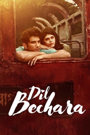 Dil Bechara (2020) Hindi Movie - [350MB]