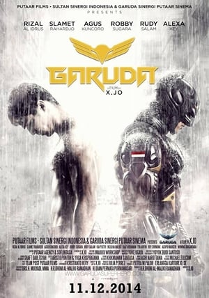 Garuda Superhero (2015) Hindi Dubbed [750MB]