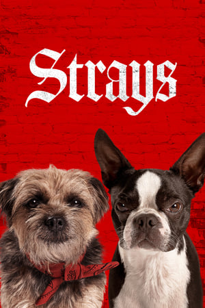 Strays (2023) Hindi Dual Audio –
