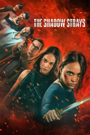 The Shadow Strays 2024 Hindi Dual Audio – 720p –