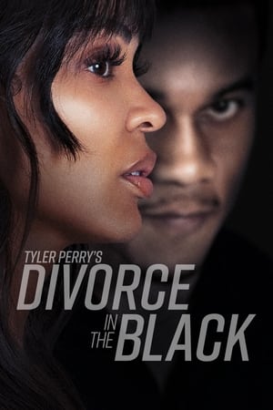 Tyler Perry’s Divorce in the Black (2024) Hindi Dual Audio – – 480p